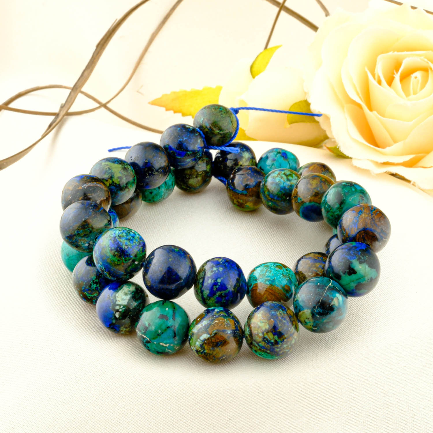 Qizlarning mushuklarida nima bor?