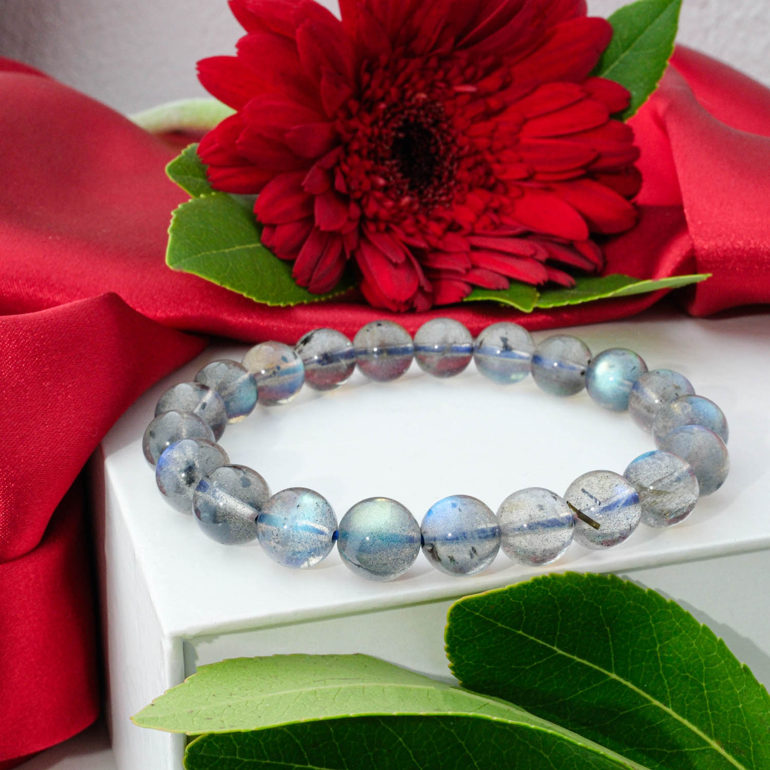 Premium 6A+ Labradorite bracelet (9-10mm) with grey beads showing blue-green flash, on a white display box.