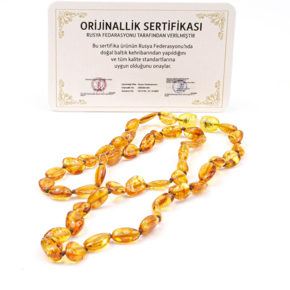 Collar de ámbar genuino certificado para adultos con cuentas bálticas multicolores